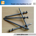 Polido / Electro Galvanizado Duplex Nails